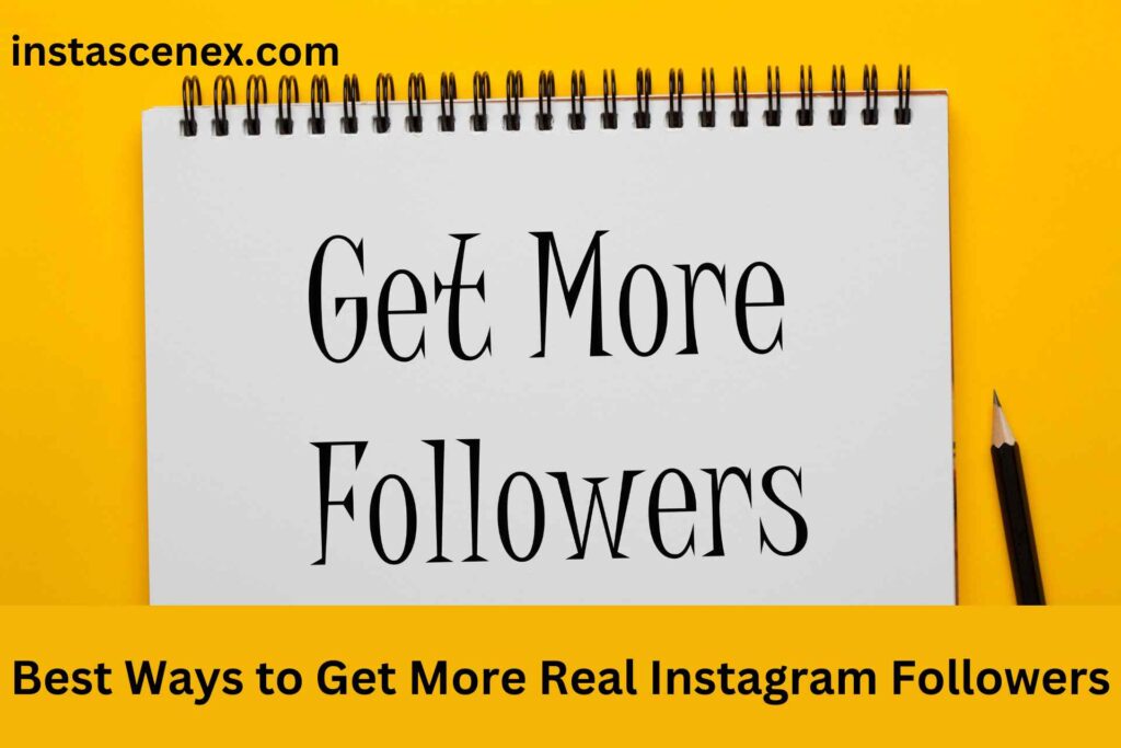 instagram followers
