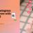 Buy Instagram Followers with PayPal