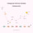 instagram follower tracker