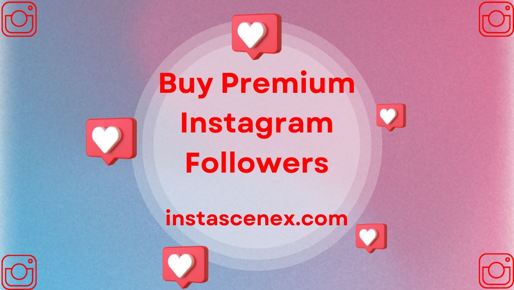 Buy Premium Instagram Followers